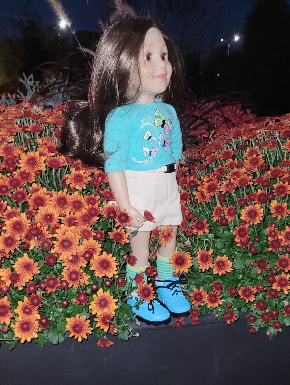 Maplelea Taryn Including Original Meet Outfit